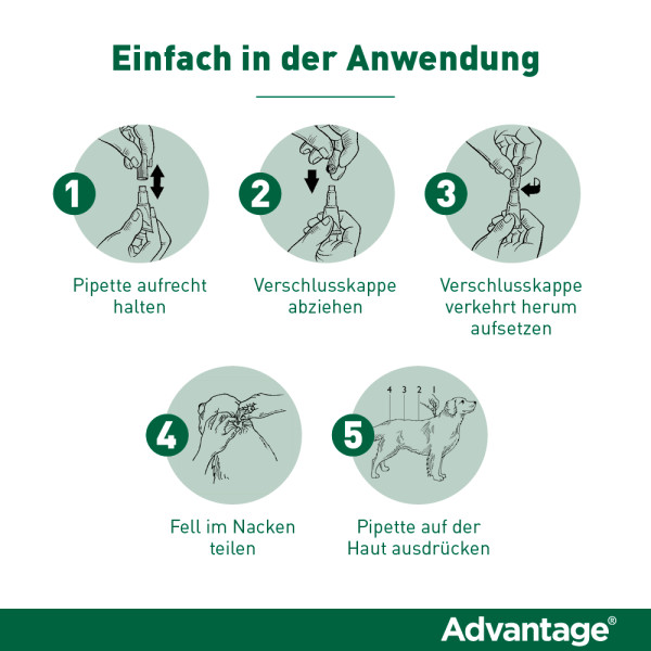 ADVANTAGE 400 Lösung Pipetten f.Hunde ab 25 kg