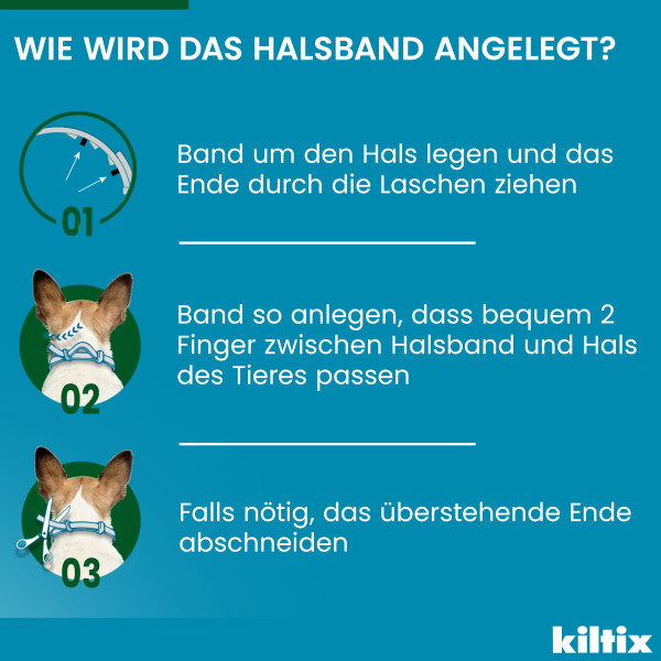 KILTIX Halsband f.kleine Hunde