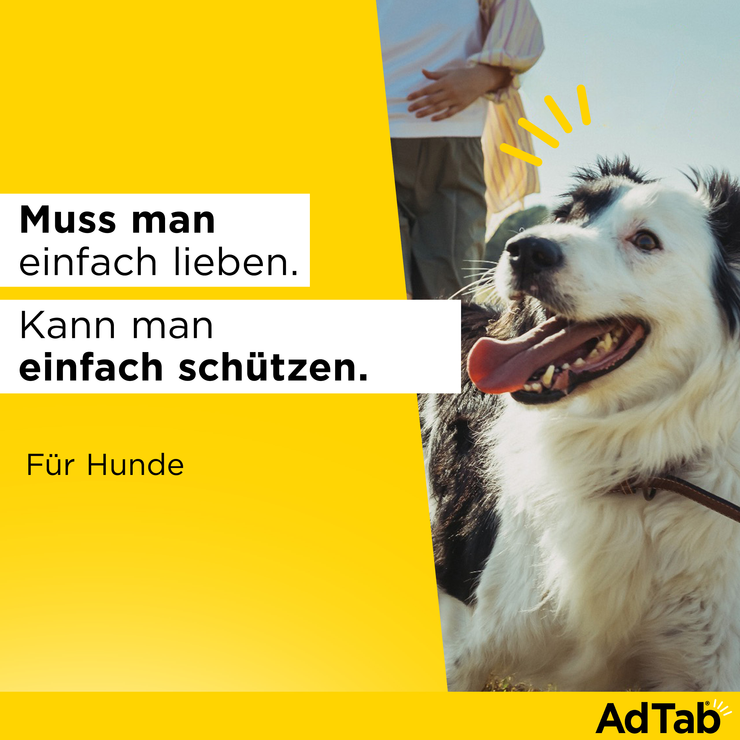 ADTAB 56 mg Kautabletten für Hunde 1,3-2,5 kg
