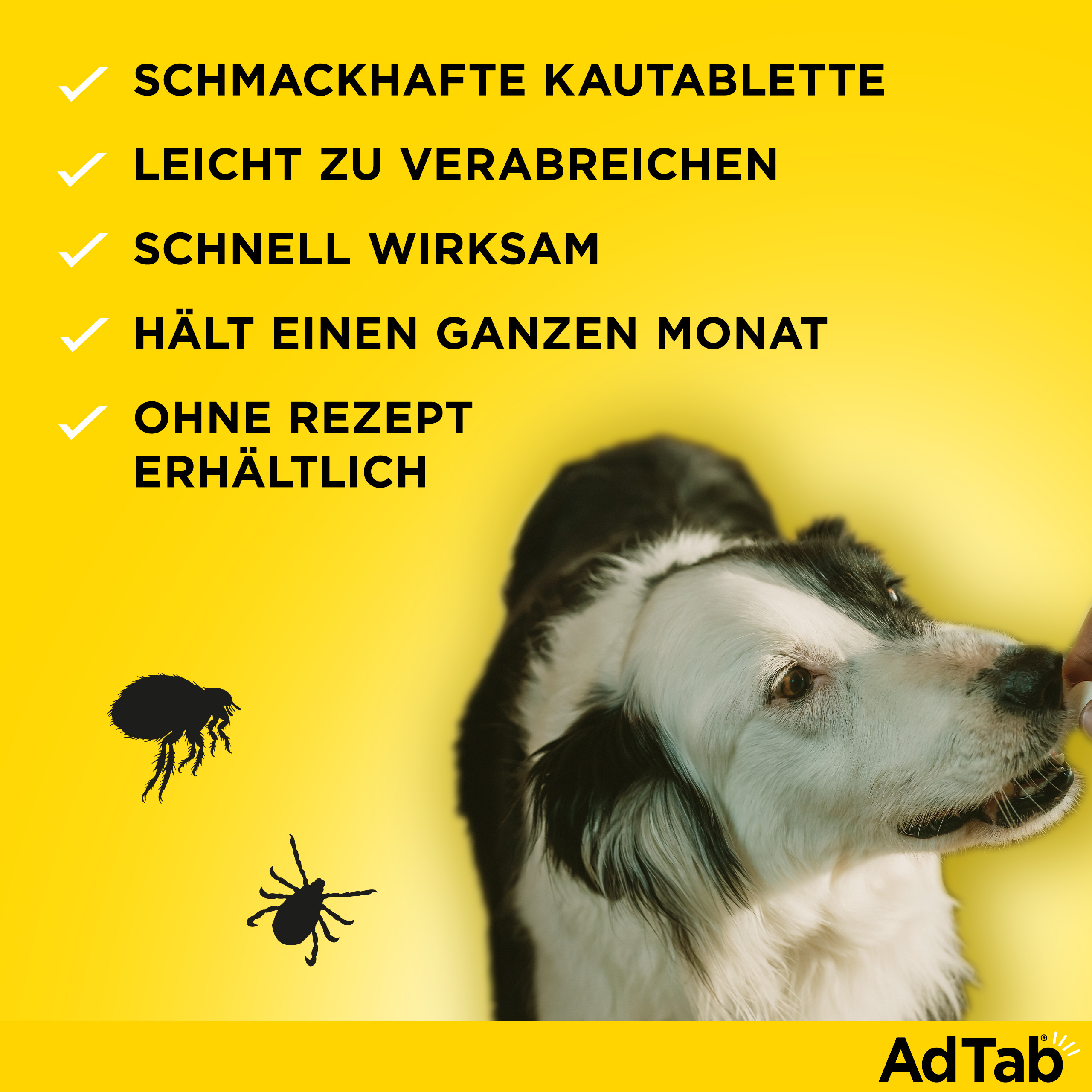 ADTAB 450 mg Kautabletten für Hunde >11-22 kg