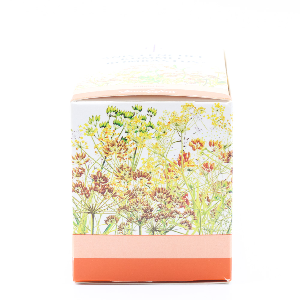 ANIS FENCHEL Kümmel Bombastus Filterbeutel