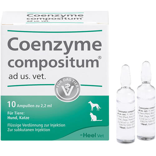 COENZYME COMPOSITUM ad us.vet.Ampullen