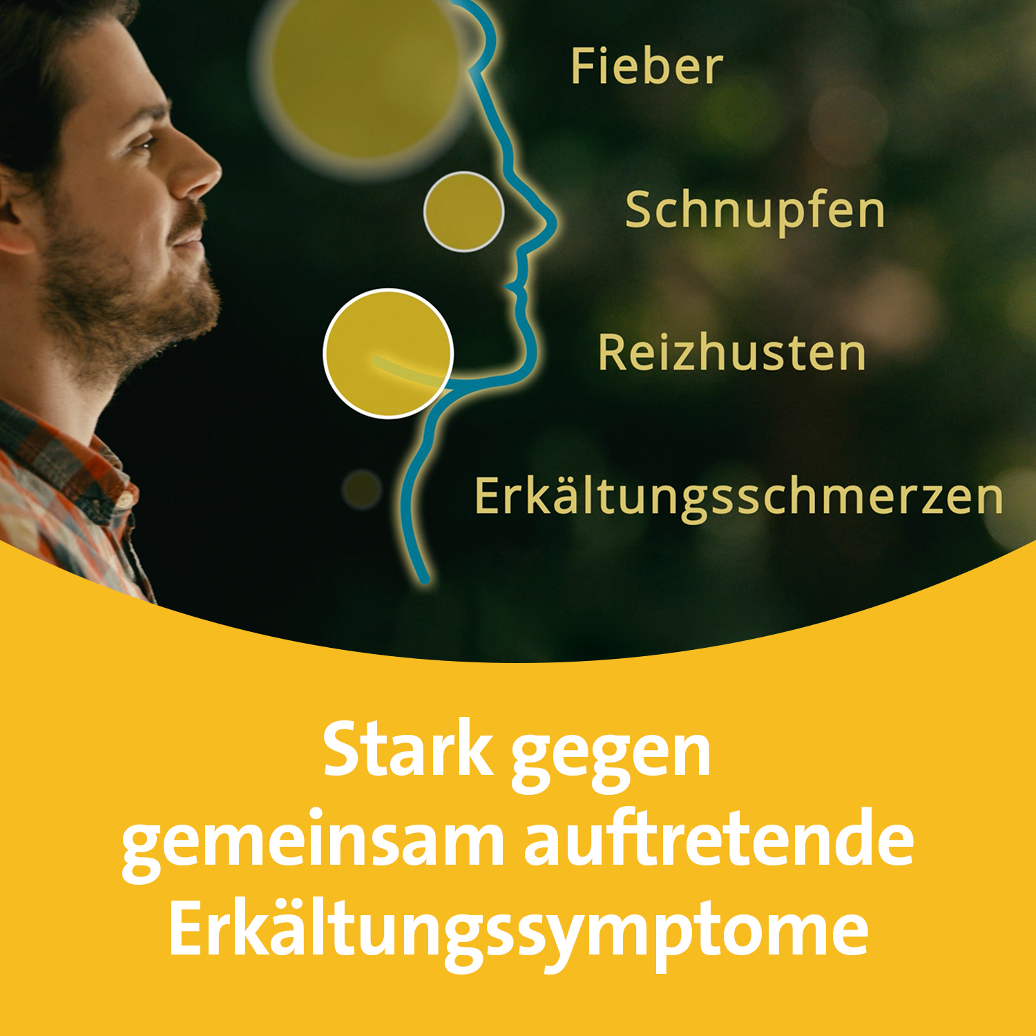 GRIPPOSTAD C Hartkapseln