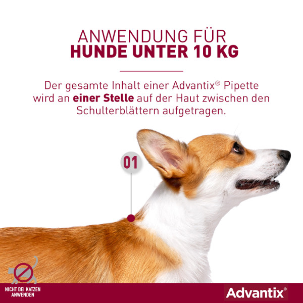ADVANTIX Spot-on Lsg.z.Auftr.a.d.H.f.Hund bis 4 kg