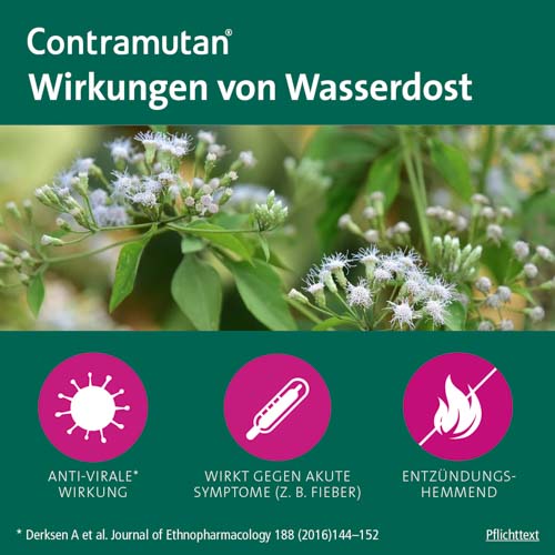 CONTRAMUTAN Tabletten