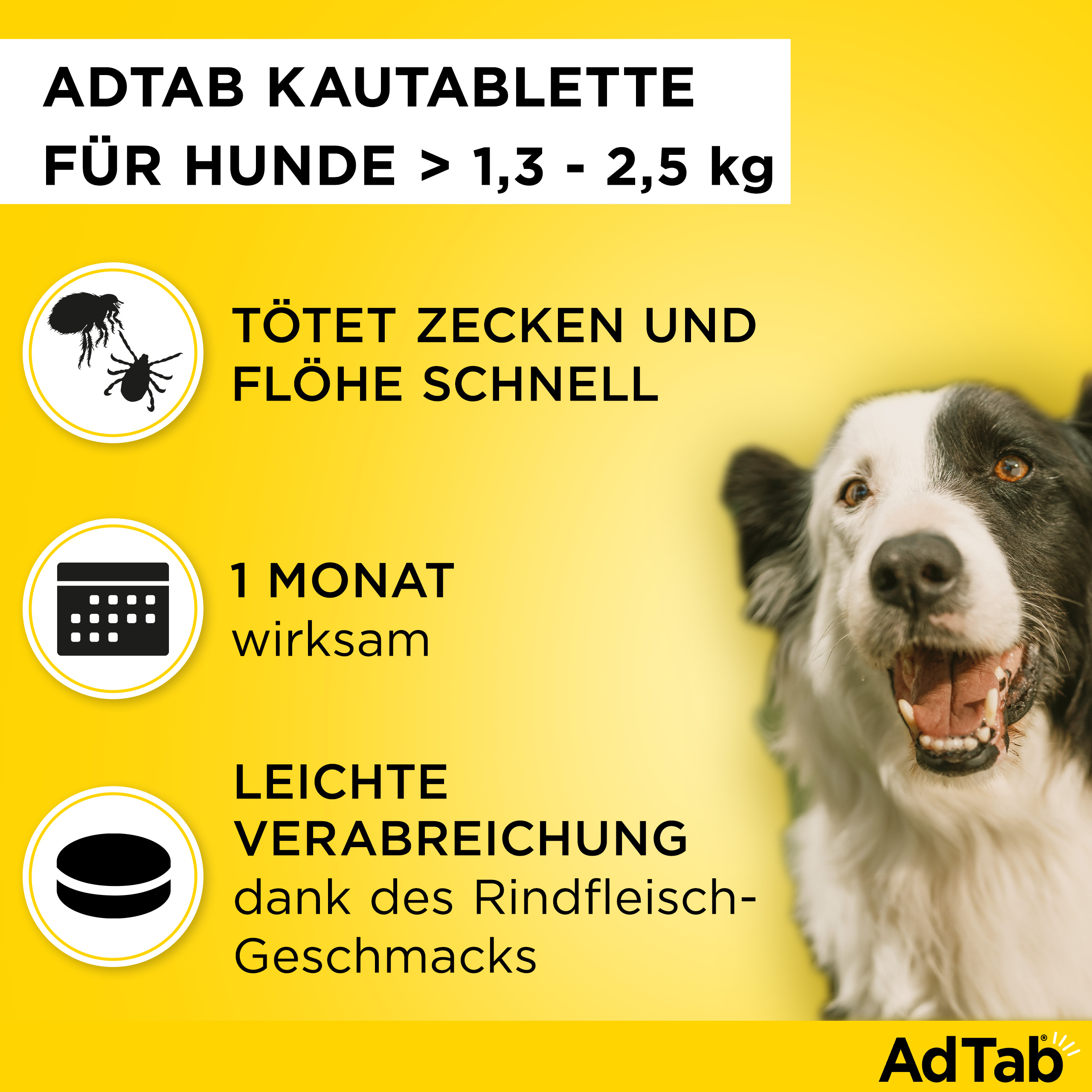 ADTAB 56 mg Kautabletten für Hunde 1,3-2,5 kg