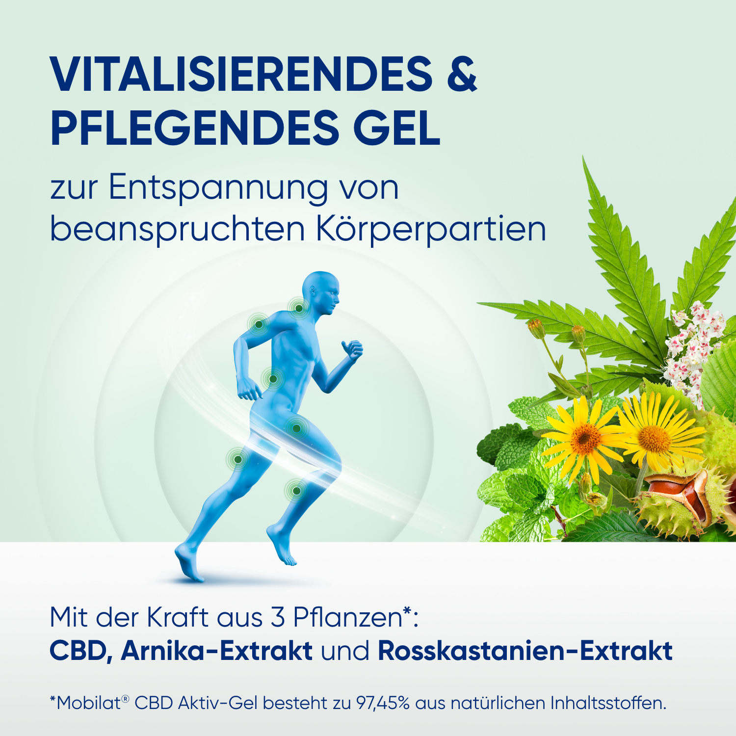 Mobilat® CBD Aktiv-Gel: vitalisierend, beruhigend, pflegend. Für beanspruchte Körperpartien.