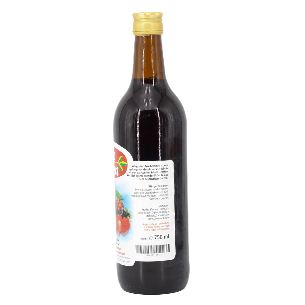 VITAGARTEN Früchtekorb Saft