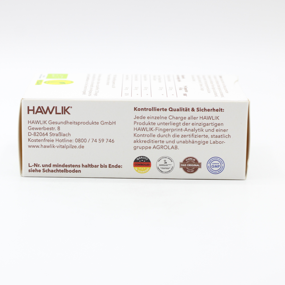 BIO AGARICUS Extrakt+Pulver Kapseln