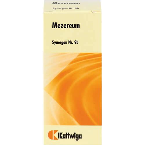 SYNERGON KOMPLEX 9b Mezereum Tropfen