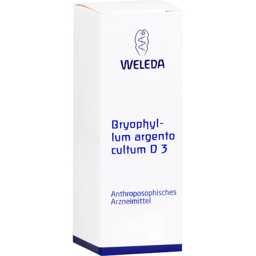 BRYOPHYLLUM ARGENTO cultum D 3 Dilution