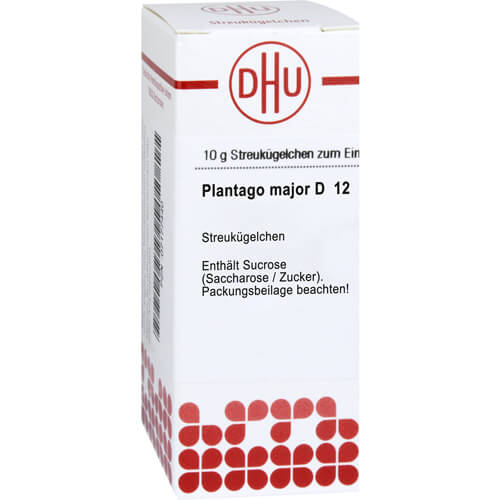 PLANTAGO MAJOR D 12 Globuli