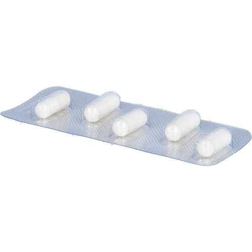 NIGERSAN D 4 Kapseln