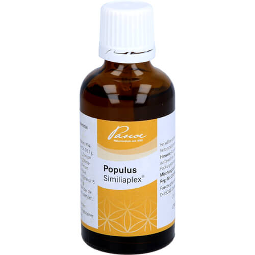 POPULUS SIMILIAPLEX